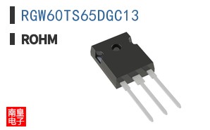 RGW60TS65DGC13
